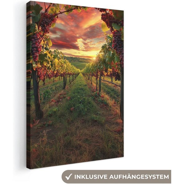 OneMillionCanvasses® Leinwandbild Weinberg - Weintrauben - Sonnenuntergang, Fotodruck (1 St), Leinwand Bilder Klein, Wand Dekoration Aesthetic 30x20 cm