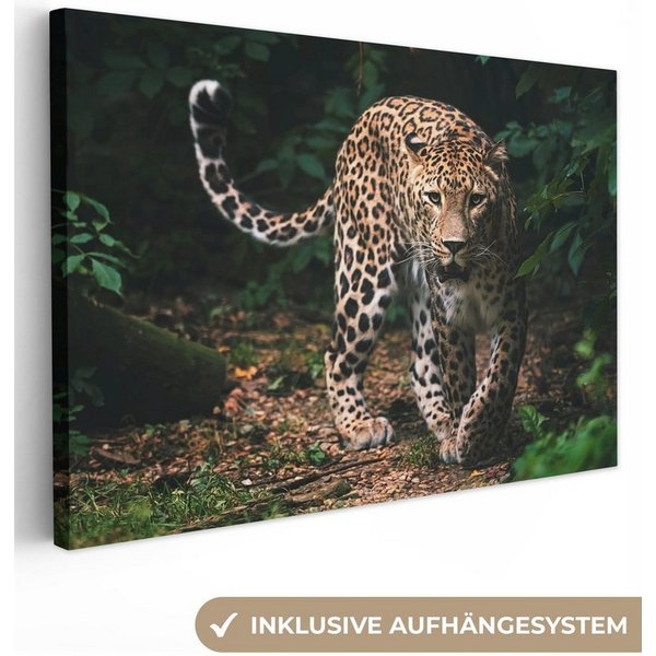 OneMillionCanvasses® Leinwandbild Wildtiere - Leopard - Dschungel - Natur, Fotodruck (1 St), Leinwand Bilder Klein, Wand Dekoration Aesthetic 30x20 cm