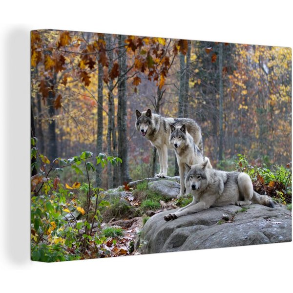 OneMillionCanvasses® Leinwandbild Wolf - Herbst - Wald, Fotodruck (1 St), Leinwand Bilder Klein, Wand Dekoration Aesthetic 30x20 cm
