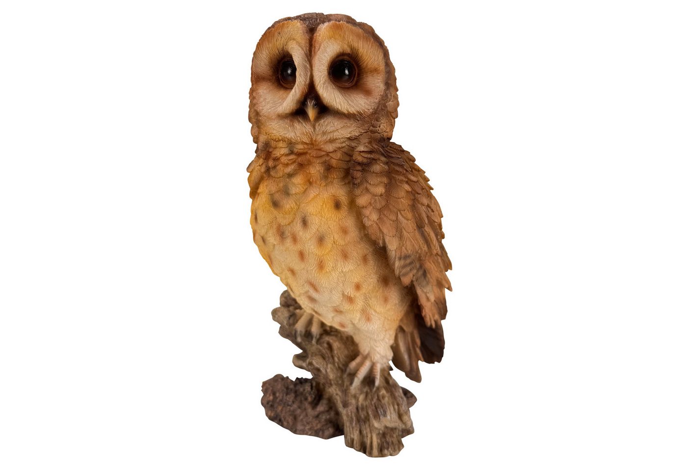 Online-Fuchs Gartenfigur für außen - Eule, Uhu, Kauz mit braunen Gefieder - Deko Figuren, (für den Innen- und Außenbereich, detailreiches Federkleid), aus langl – Bild 2 von 5