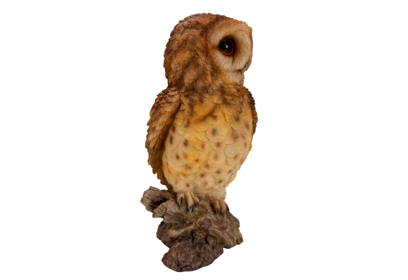 Online-Fuchs Gartenfigur für außen - Eule, Uhu, Kauz mit braunen Gefieder - Deko Figuren, (für den Innen- und Außenbereich, detailreiches Federkleid), aus langl – Bild 5 von 5