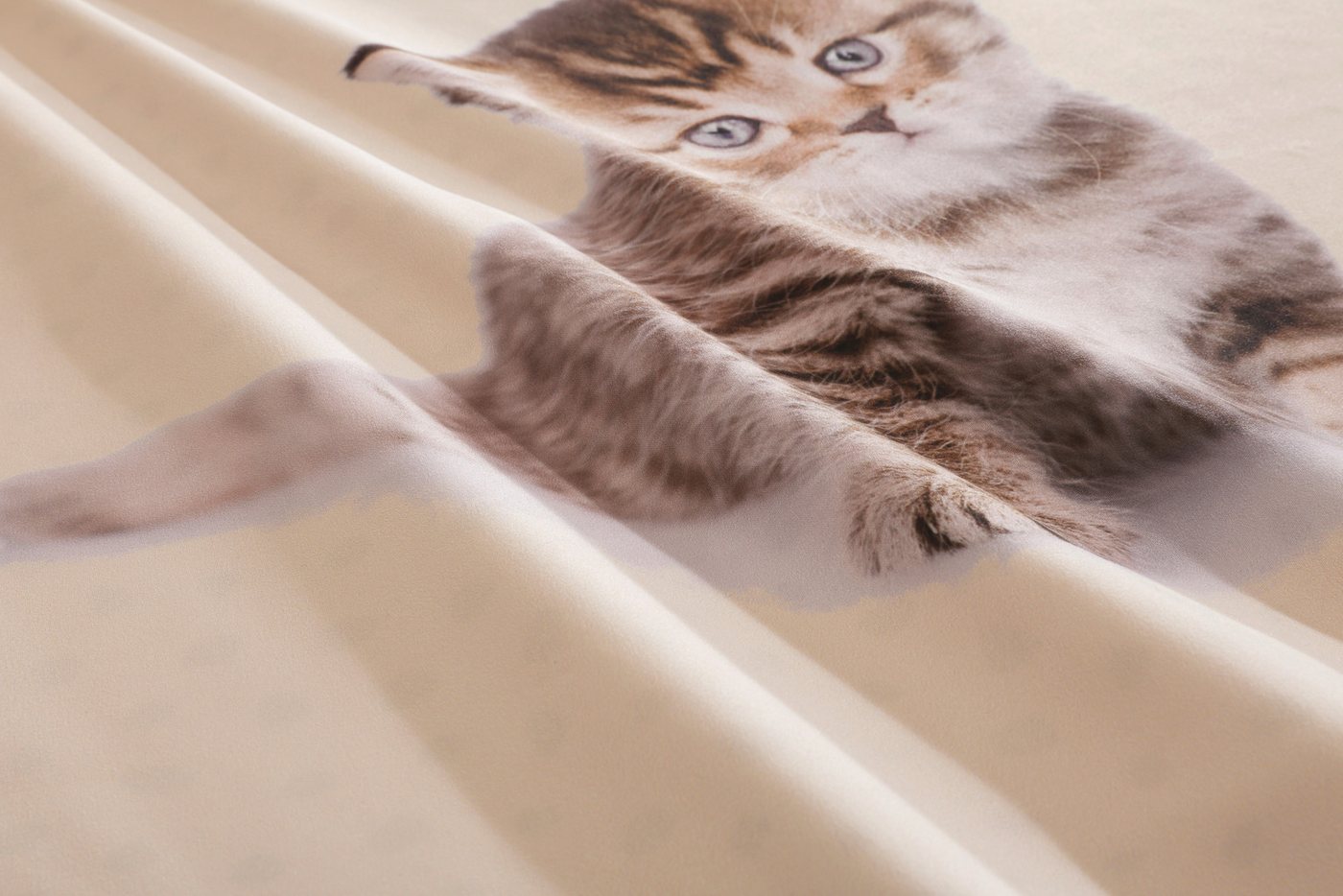 OTTO home Bettwäsche Lyki, Microfaser, 2 teilig, ab Größe 135x200 cm, 100% Polyester, Katze, Pferd, Löwe, Pinguin – Bild 5 von 5