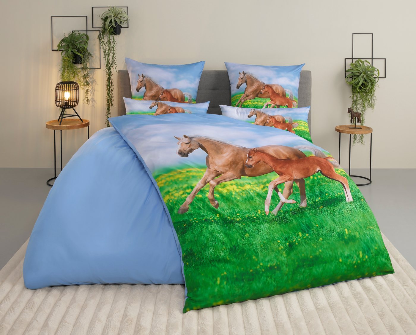 OTTO home Bettwäsche Lyki, Microfaser, 2 teilig, ab Größe 135x200 cm, 100% Polyester, Katze, Pferd, Löwe, Pinguin – Bild 2 von 5