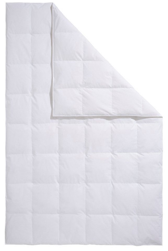 OTTO home Daunenbettdecke Köniz, Bettdecke 135x200 cm, 155x220 cm und weitere Größen, Füllung: 60% Daunen, 40% Federn, Bezug: 100% Baumwolle, Bettdecken, Sommer – Bild 2 von 5