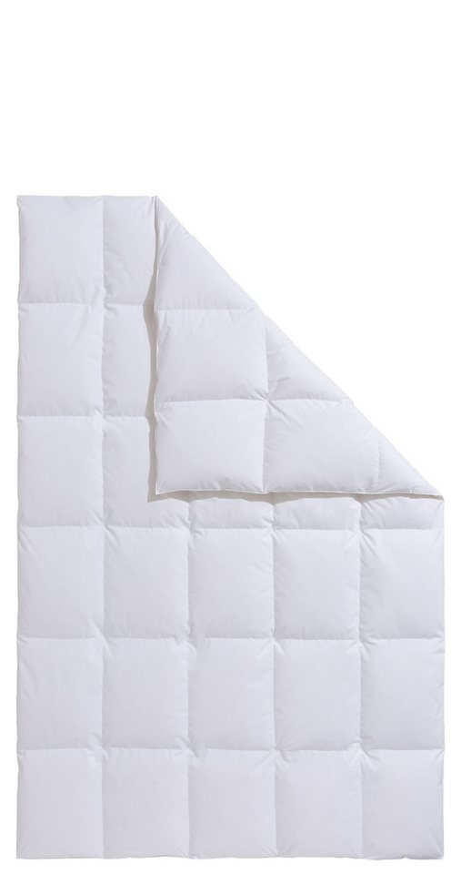OTTO home Daunenbettdecke Köniz, Bettdecke 135x200 cm, 155x220 cm und weitere Größen, Füllung: 60% Daunen, 40% Federn, Bezug: 100% Baumwolle, Bettdecken, Sommer – Bild 2 von 5