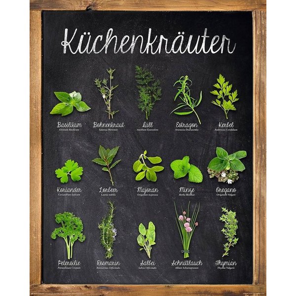 OTTO home Deco-Panel Küchenkräuter, 40/50 cm