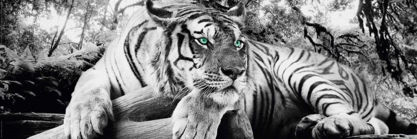 OTTO home Deco-Panel Tiger guckt dich an – Bild 2 von 4