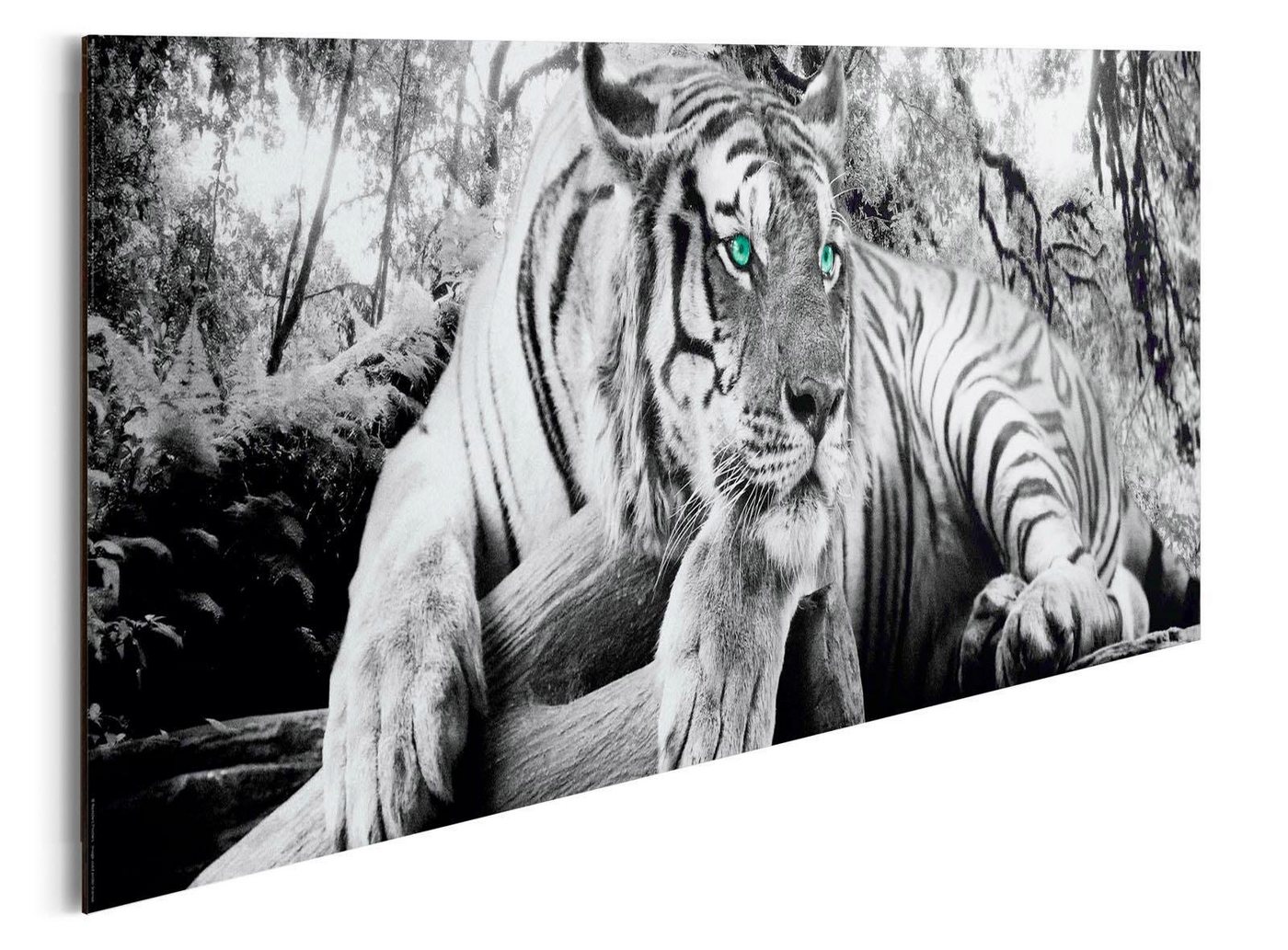 OTTO home Deco-Panel Tiger guckt dich an – Bild 3 von 4