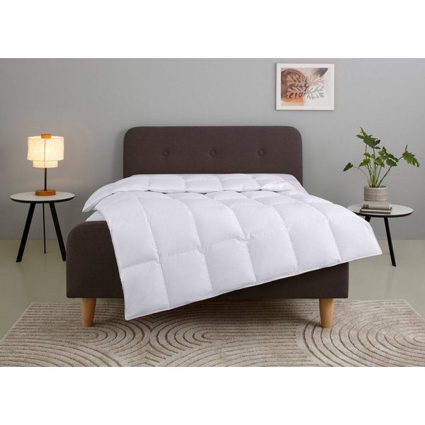 OTTO home Gänsedaunenbettdecke Litrone, Bettdecke 135x200 cm, 155x220 cm, 200x200 cm, 240x220 cm, Füllung: 100% Gänsedaunen, Bezug: Baumwolle, Bettdecken, Somme