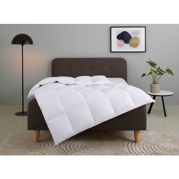 OTTO home Gänsedaunenbettdecke Litrone, Bettdecke 135x200 cm, 155x220 cm, 200x200 cm, 240x220 cm, Füllung: 100% Gänsedaunen, Bezug: Baumwolle, Bettdecken, Somme