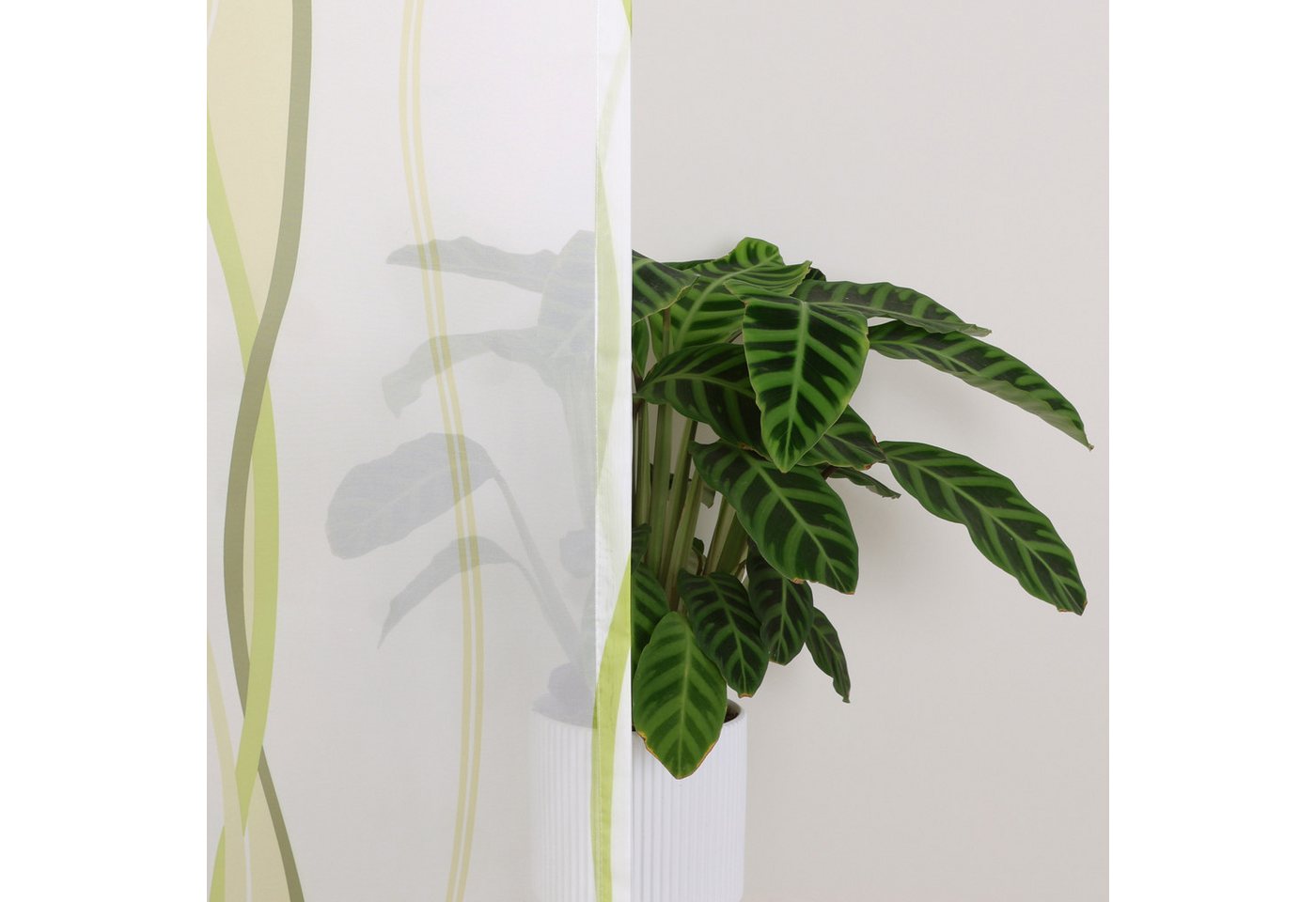 OTTO home Gardine Dimona, 2er- Set, transparent, Wellen (2 St), Ösen, transparent, Voile, 2-er Set, transparent, Voile, Polyester, Wellen – Bild 4 von 5