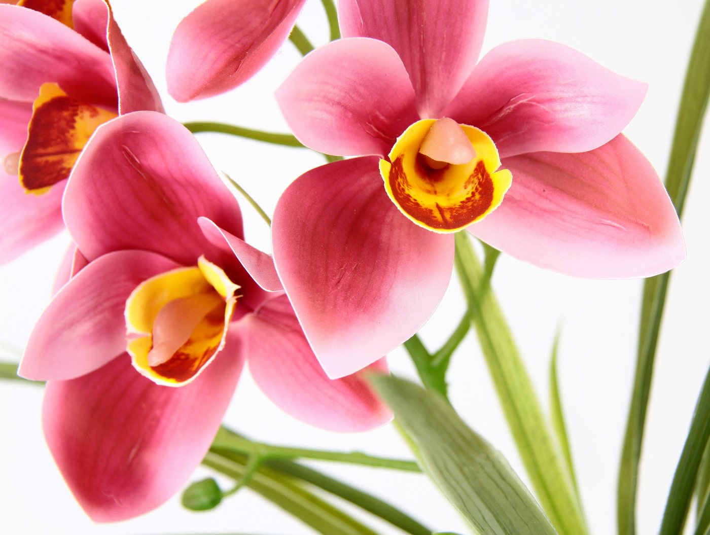 Kunstblume Orchidee, OTTO home, Höhe 32 cm, Mit Blätter im Topf aus Keramik Künstliche Blume Cymbidium-Orchidee – Bild 2 von 4