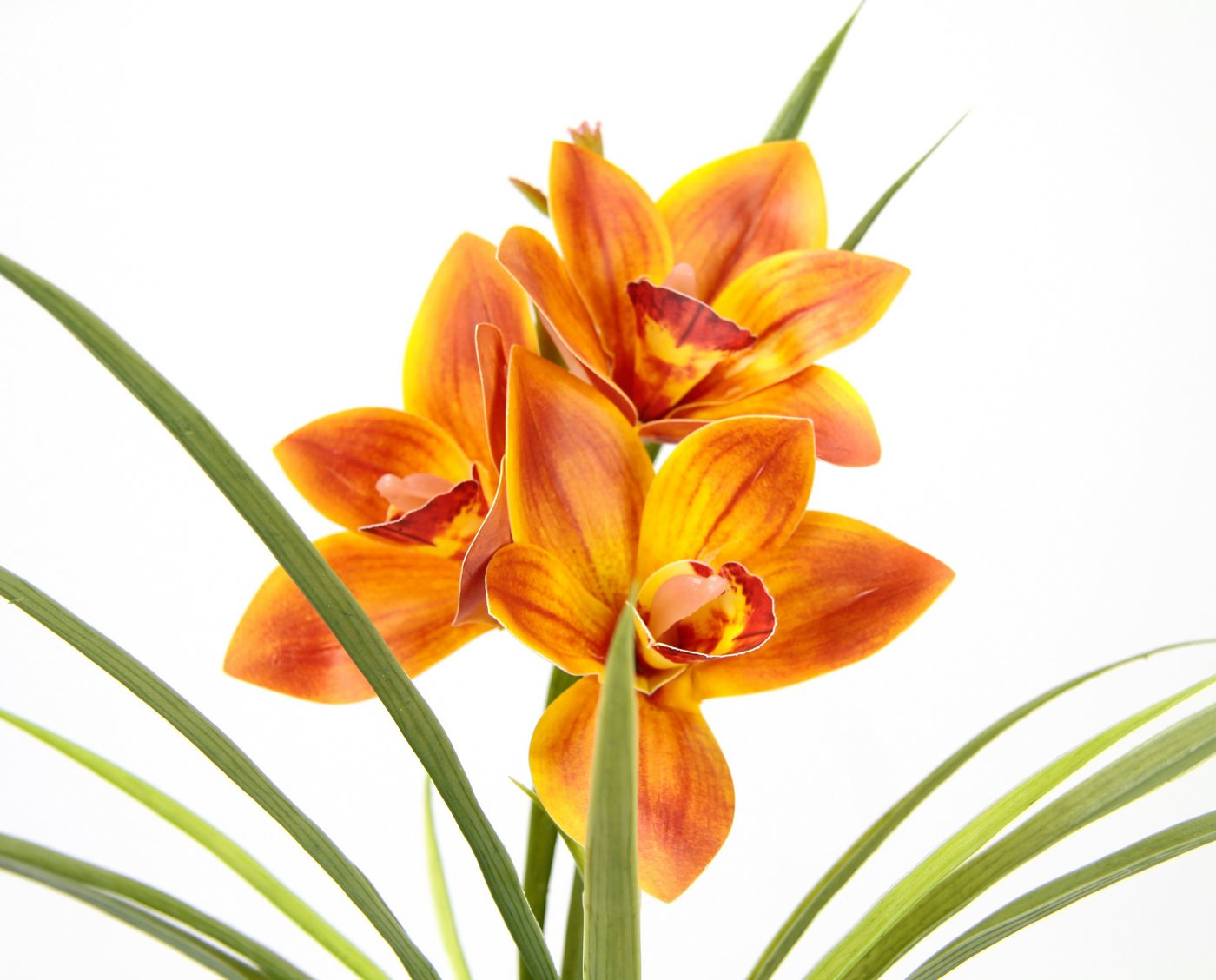 Kunstblume Orchidee, OTTO home, Höhe 32 cm, Mit Blätter im Topf aus Keramik Künstliche Blume Cymbidium-Orchidee – Bild 2 von 4