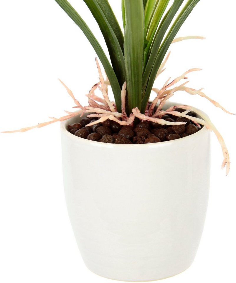 Kunstblume Orchidee, OTTO home, Höhe 32 cm, Mit Blätter im Topf aus Keramik Künstliche Blume Cymbidium-Orchidee – Bild 3 von 4