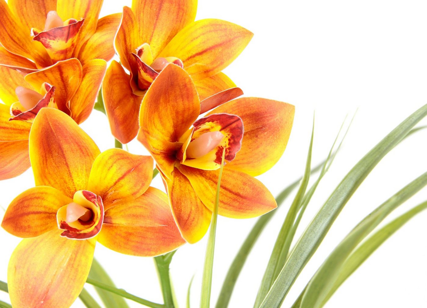 Kunstblume Orchidee, OTTO home, Höhe 40 cm, Mit Blätter im Topf aus Zement Künstliche Blume Cymbidium-Orchidee – Bild 2 von 4