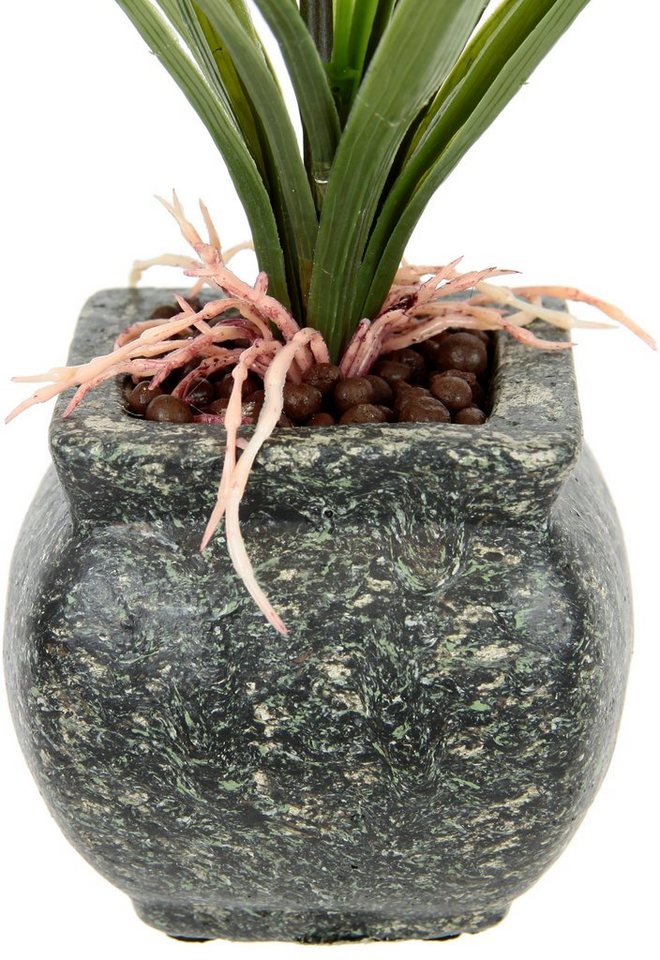 Kunstblume Orchidee, OTTO home, Höhe 40 cm, Mit Blätter im Topf aus Zement Künstliche Blume Cymbidium-Orchidee – Bild 3 von 4