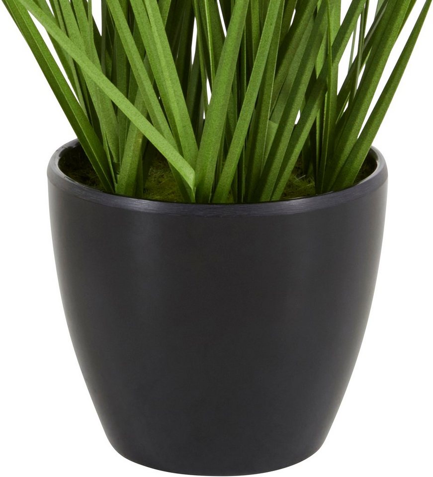Kunstgras Grasbusch, naturgetreue Kunstpflanze, 35cm hoch, OTTO home, Höhe 35 cm, im 3 teiligen Set, mit Übertopf wahlweise in schwarz oder weiß – Bild 4 von 5