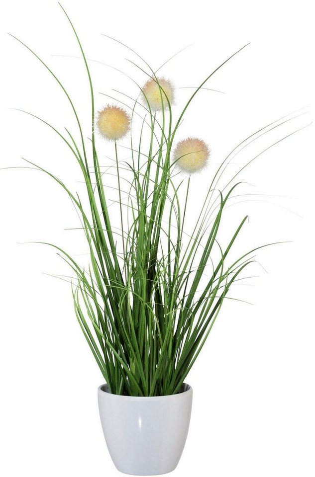 Kunstgras Grasbusch, naturgetreue Kunstpflanze, 35cm hoch, OTTO home, Höhe 35 cm, im 3 teiligen Set, mit Übertopf wahlweise in schwarz oder weiß – Bild 3 von 5