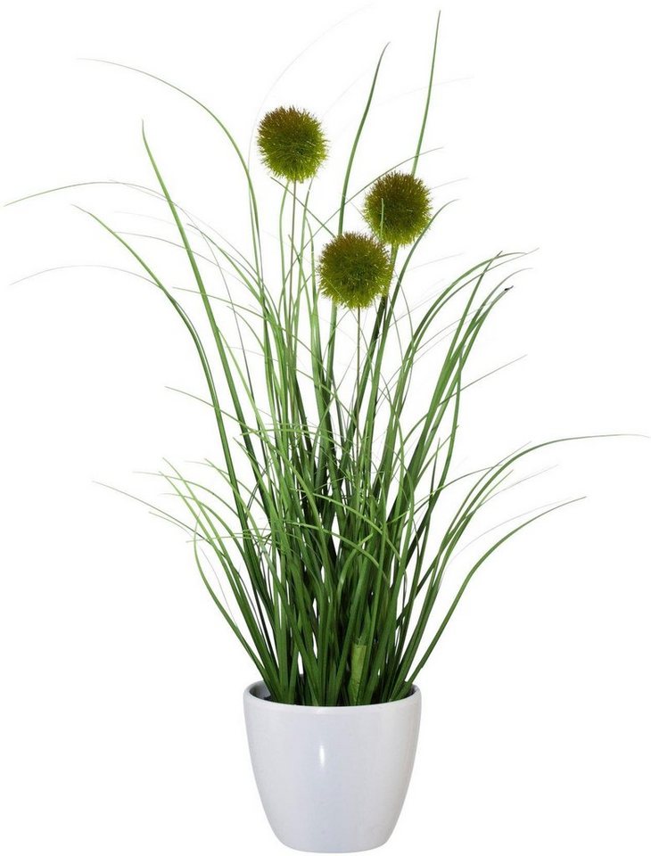 Kunstgras Grasbusch, naturgetreue Kunstpflanze, 35cm hoch, OTTO home, Höhe 35 cm, im 3 teiligen Set, mit Übertopf wahlweise in schwarz oder weiß – Bild 4 von 5