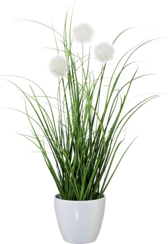 Kunstgras Grasbusch, naturgetreue Kunstpflanze, 35cm hoch, OTTO home, Höhe 35 cm, im 3 teiligen Set, mit Übertopf wahlweise in schwarz oder weiß – Bild 5 von 5
