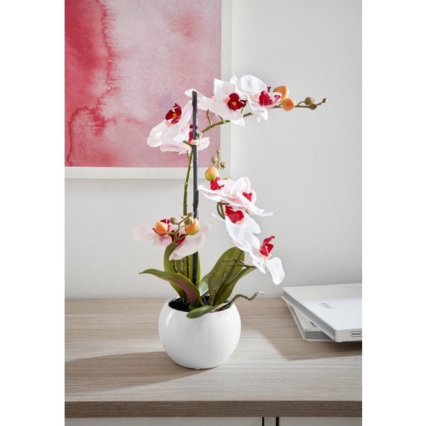 Kunstorchidee Ernestine Orchidee, OTTO home, Höhe 42 cm, Kunstpflanze, im schwarzen oder weißen Topf