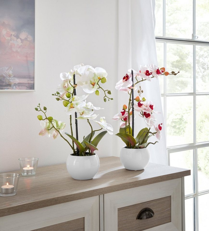 Kunstorchidee Ernestine Orchidee, OTTO home, Höhe 42 cm, Kunstpflanze, im schwarzen oder weißen Topf – Bild 5 von 5