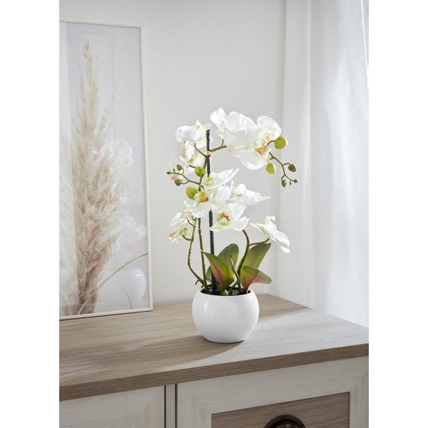 Kunstorchidee Ernestine Orchidee, OTTO home, Höhe 42 cm, Kunstpflanze, im schwarzen oder weißen Topf
