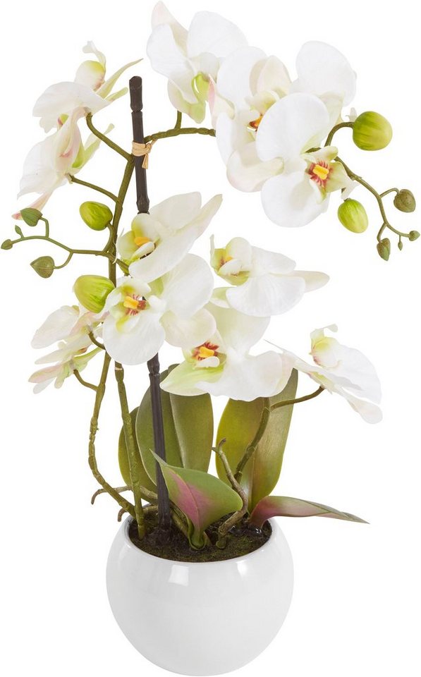 Kunstorchidee Ernestine Orchidee, OTTO home, Höhe 42 cm, Kunstpflanze, im schwarzen oder weißen Topf – Bild 2 von 5