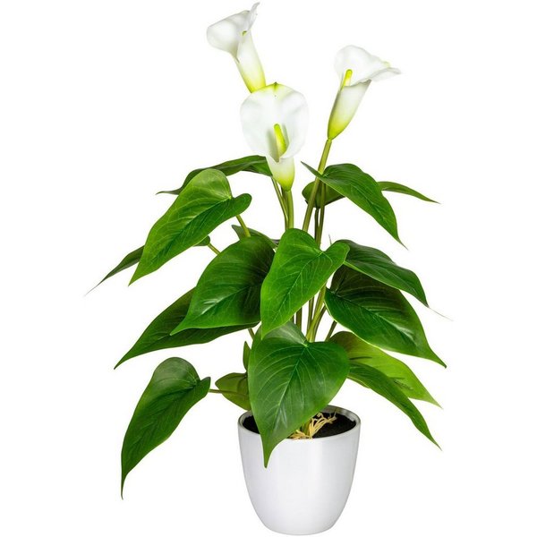 Kunstpflanze Lesum Calla, OTTO home, Höhe 44 cm, im Topf
