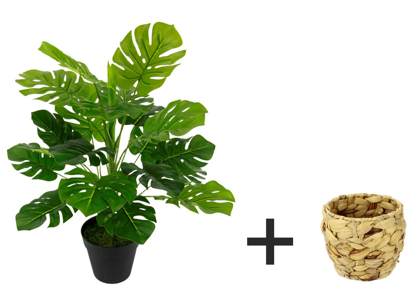 Kunstpflanze Monstera, OTTO home, Höhe 46 cm, Mit Übertopf künstlicheSplitphilo-Pflanze – Bild 2 von 4