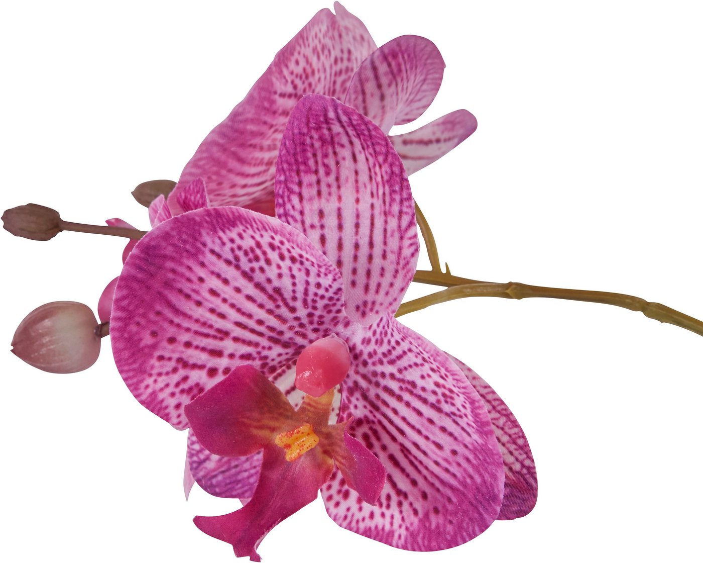 Kunstpflanze Orchidee, OTTO home, Höhe 55 cm, Kunstorchidee, im Topf – Bild 2 von 5