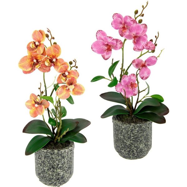 Kunstpflanze Orchidee, OTTO home, Höhe 38 cm, Mit Blättern und Luftwurzeln, im Topf aus Keramik, 2er Set