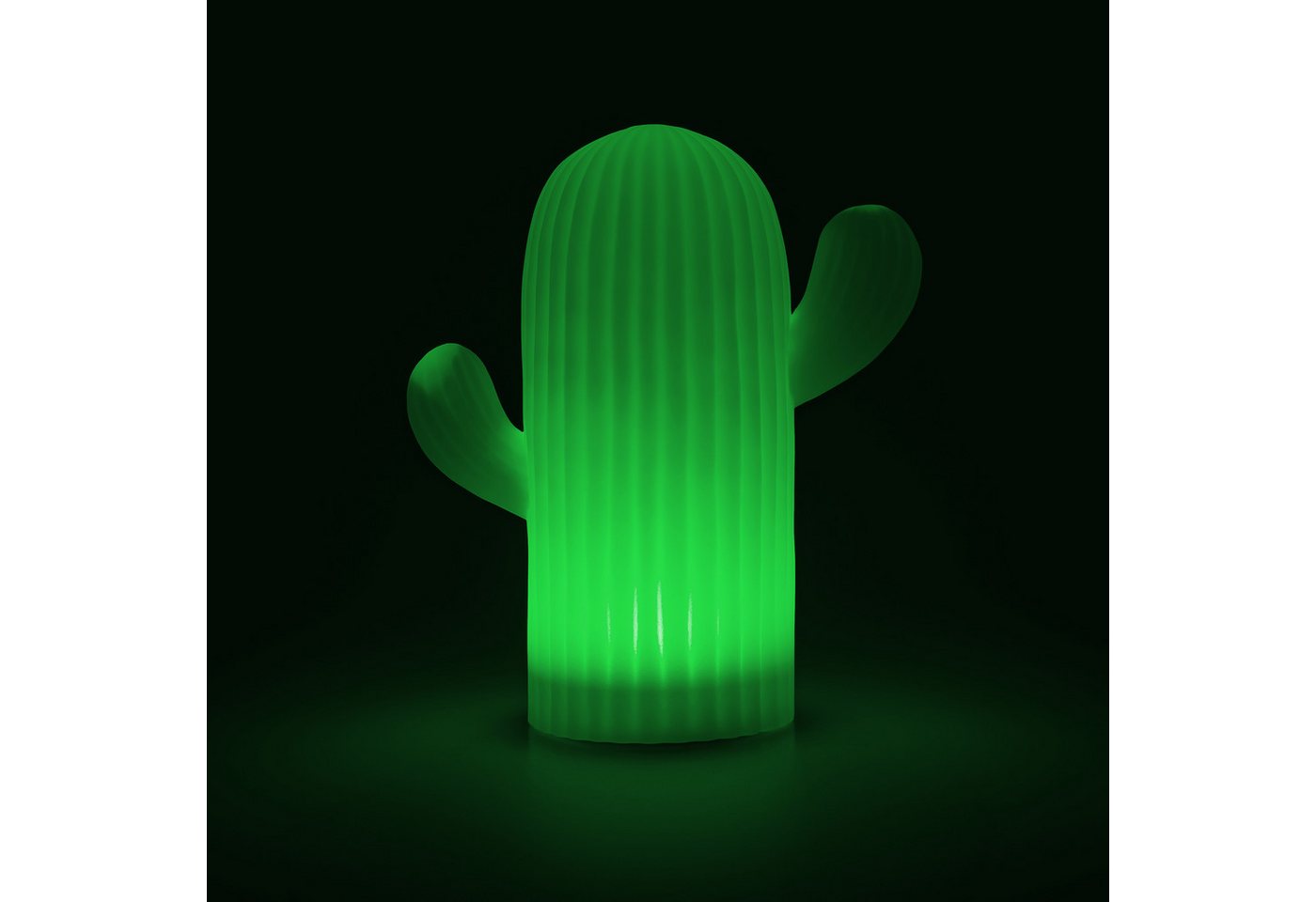 OTTO home LED Solarleuchte Eellin, LED-Solar Kaktus, RGB, Tageslichtsensor, LED fest integriert, Warmweiß, RGB, mit Erdspieß und Fernbedienung – Bild 4 von 5