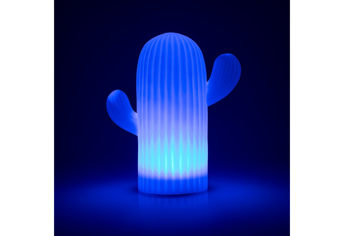 OTTO home LED Solarleuchte Eellin, LED-Solar Kaktus, RGB, Tageslichtsensor, LED fest integriert, Warmweiß, RGB, mit Erdspieß und Fernbedienung – Bild 5 von 5