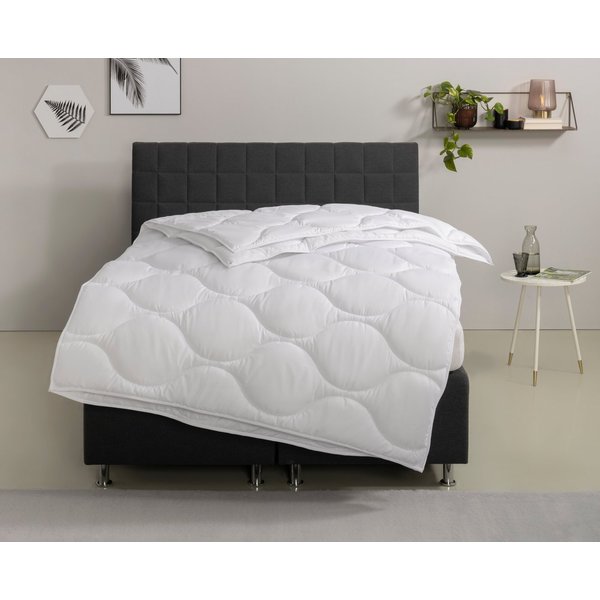 OTTO home Microfaserbettdecke Angly, Bettdecke 135x200 cm und 155x220 cm, Füllung: Polyester, Bezug: Polyester, Bettdecken, Sommer, Winter, Decke, Allergiker ge