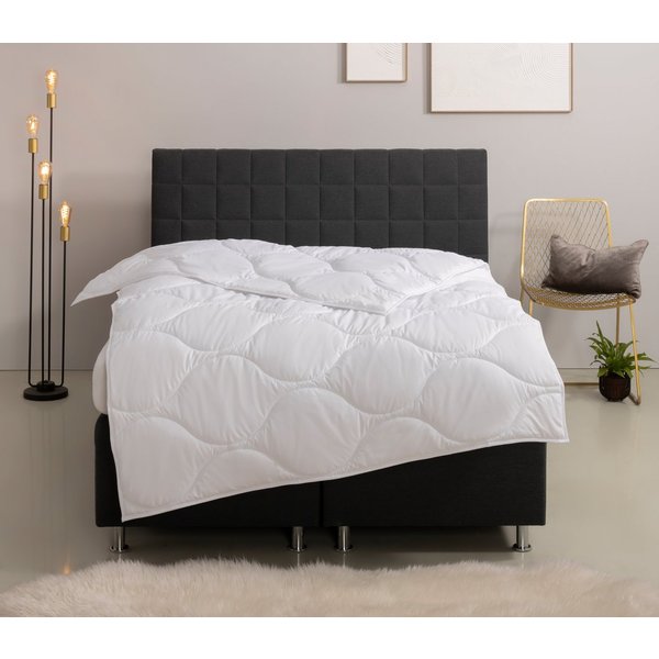 OTTO home Microfaserbettdecke Angly, Bettdecke 135x200 cm und 155x220 cm, Füllung: Polyester, Bezug: Polyester, Bettdecken, Sommer, Winter, Decke, Allergiker ge