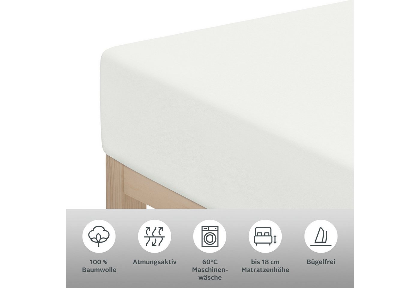 OTTO home Spannbettlaken Physalis Basic und PREMIUM Qualität, 100% Baumwolle, Jersey und Biber, Jersey (160 g/m), Gummizug: rundum, (2 Stück), Bettlaken für Mat – Bild 5 von 5