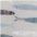 Wohndecke SARDINE, PAD, Made in Europe, Wendefunktion, gestreift, Motiv Fische, 150x200 cm – Bild 3 von 3
