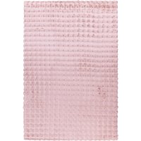 PADIRO Teppich Hailey (100, Pink, 160 x 230 cm)