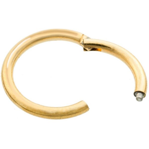 Paletti Single-Creole Ohrring Segmentring Septum-Helix-Tragus Klicker Ohrläppchen