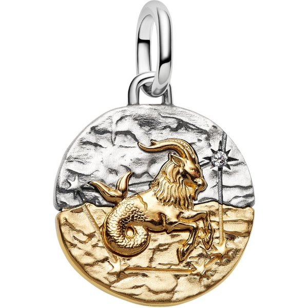 Pandora Charm Sternzeichen 764987C01, Vergoldet, Zirkonia, Sternzeichen, Steinbock