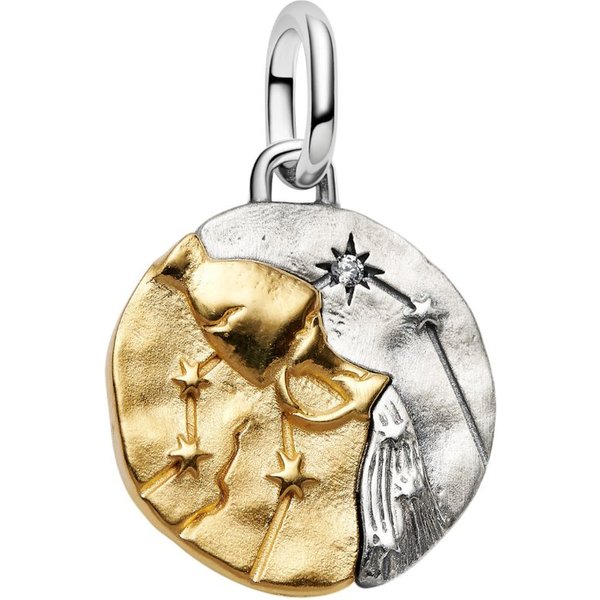 Pandora Charm Sternzeichen 764990C01, Sternzeichen, Wassermann, ZIrkonia, Bicolor