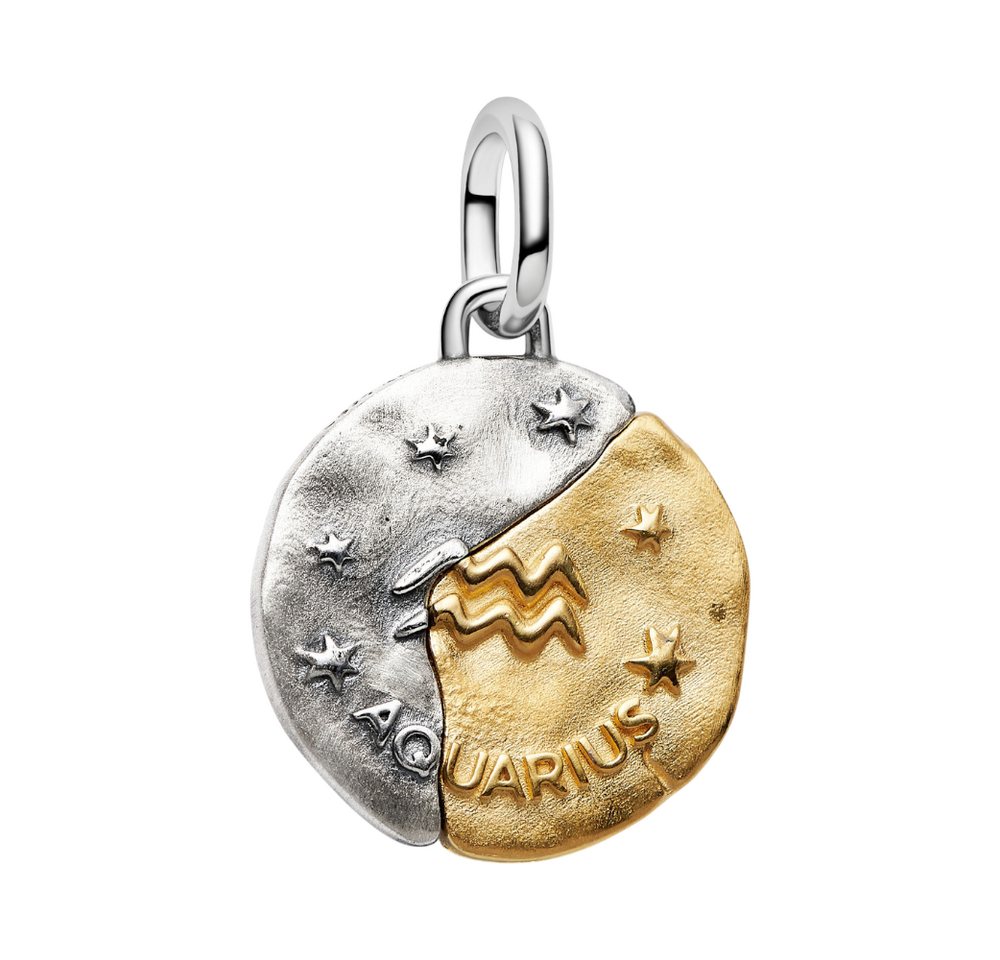 Pandora Charm Sternzeichen 764990C01, Sternzeichen, Wassermann, ZIrkonia, Bicolor – Bild 2 von 2