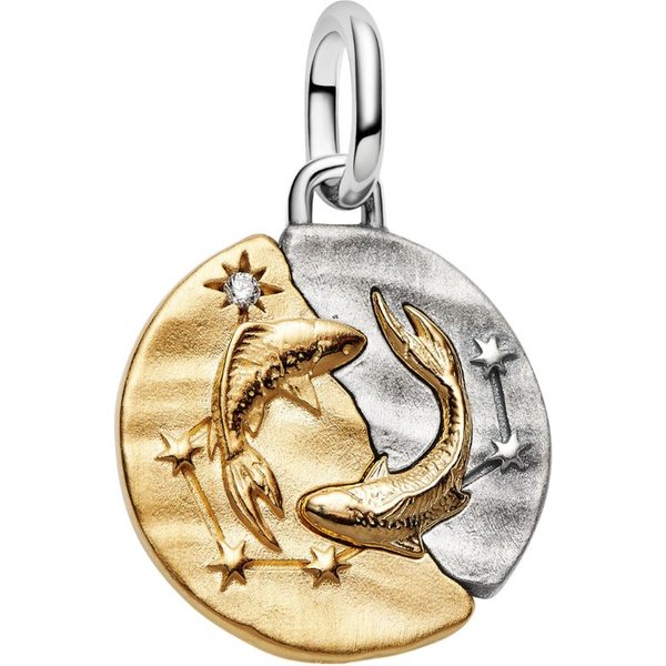 Pandora Charm Sternzeichen 764991C01, Sternzeichen, Fische, Bicolor, Zirkonia