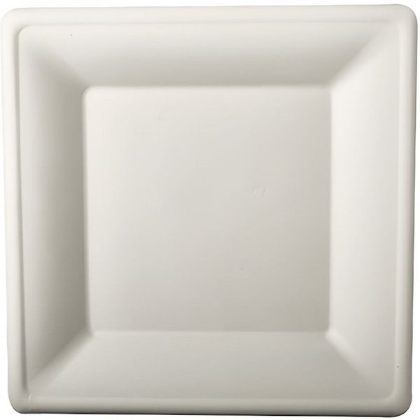 PAPSTAR Einwegteller Teller, Zuckerrohr pure eckig 26 cm x 26 cm weiss 50 Stk