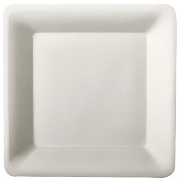 PAPSTAR Einwegteller Teller, Zuckerrohr pure eckig 15,5 cm x 15,5 cm weiss 50 Stk