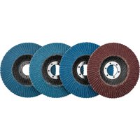 PARKSIDE® Fächerscheiben-Set / Klettschleifteller mit Schleifpapier-Set / Reinigungsscheibe / Schruppscheiben-Set, Ø 115 mm (Fächerschleifscheiben 4tlg.)