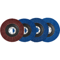 PARKSIDE® Fächerscheiben-Set / Klettschleifteller mit Schleifpapier-Set / Reinigungsscheibe / Schruppscheiben-Set (Fächerschleifscheiben 4tlg.)