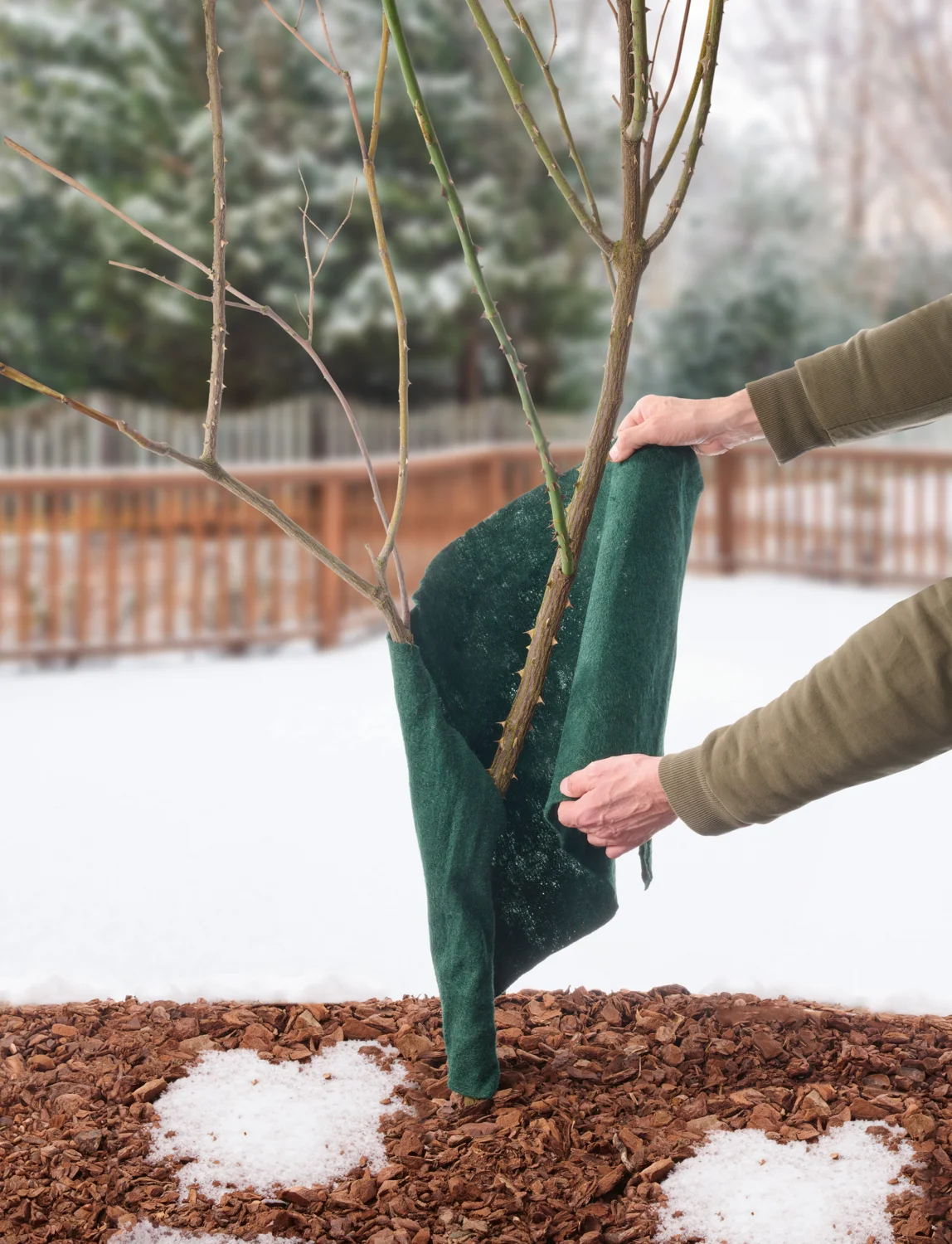 PARKSIDE® Pflanzenschutz-Kokosmatte 3,75 m / Jutegewebe 12,5 m / Jutefilz 3,75 m (Jutefilzmatte Grün) – Bild 2 von 4