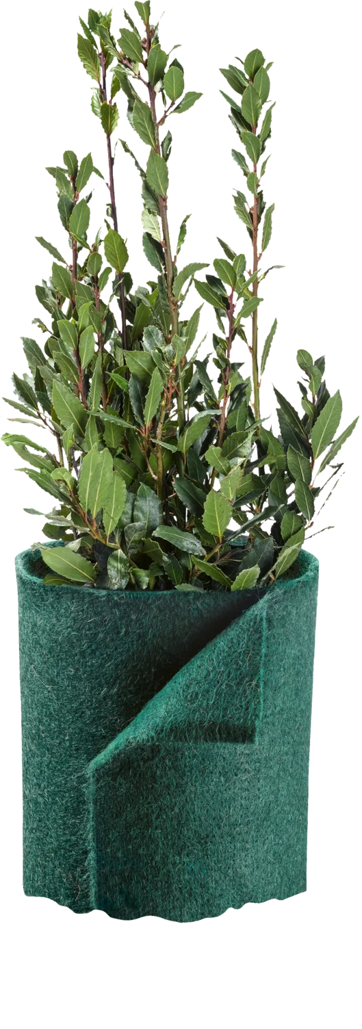 PARKSIDE® Pflanzenschutz-Kokosmatte 3,75 m / Jutegewebe 12,5 m / Jutefilz 3,75 m (Jutefilzmatte Grün) – Bild 3 von 4